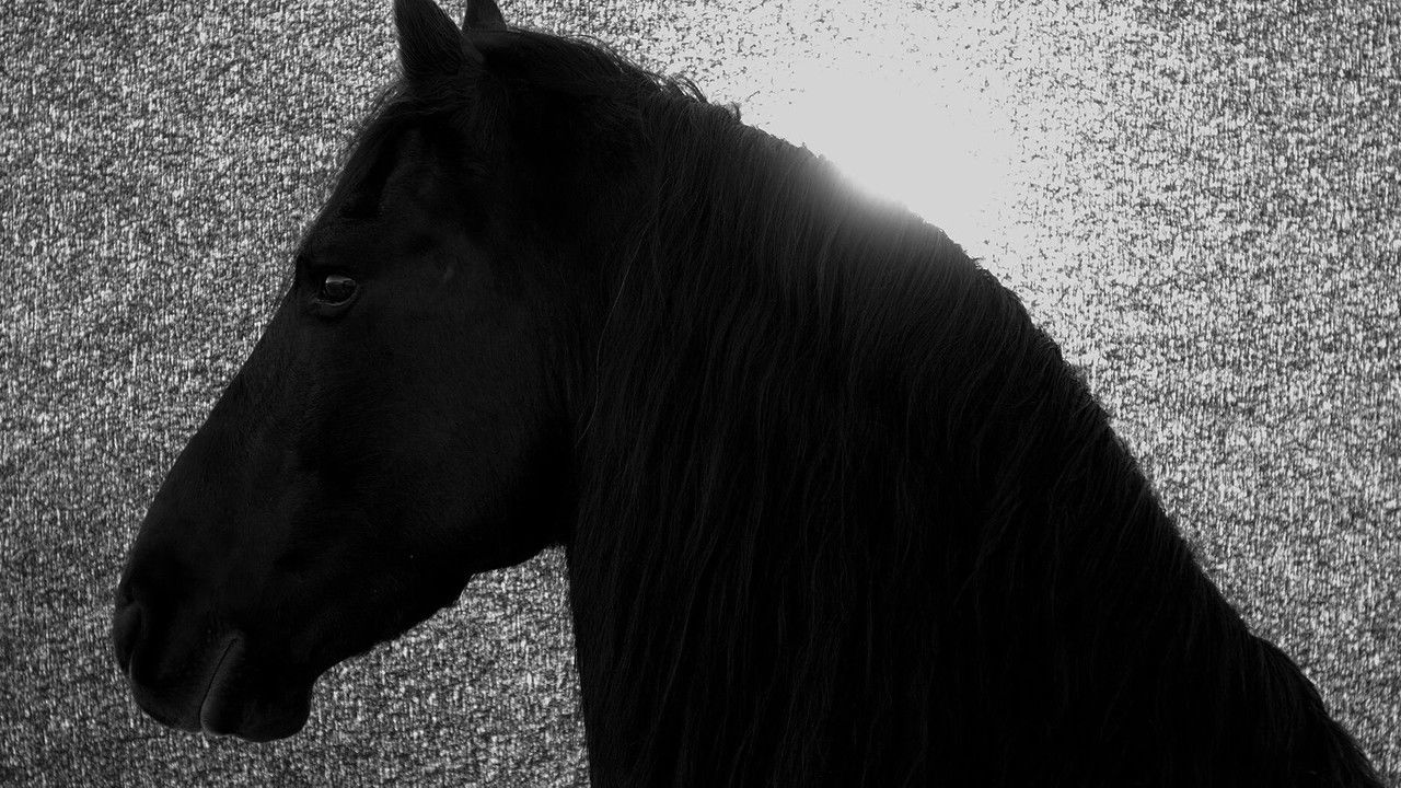 Backdrop image for movie Absent Now the Dead