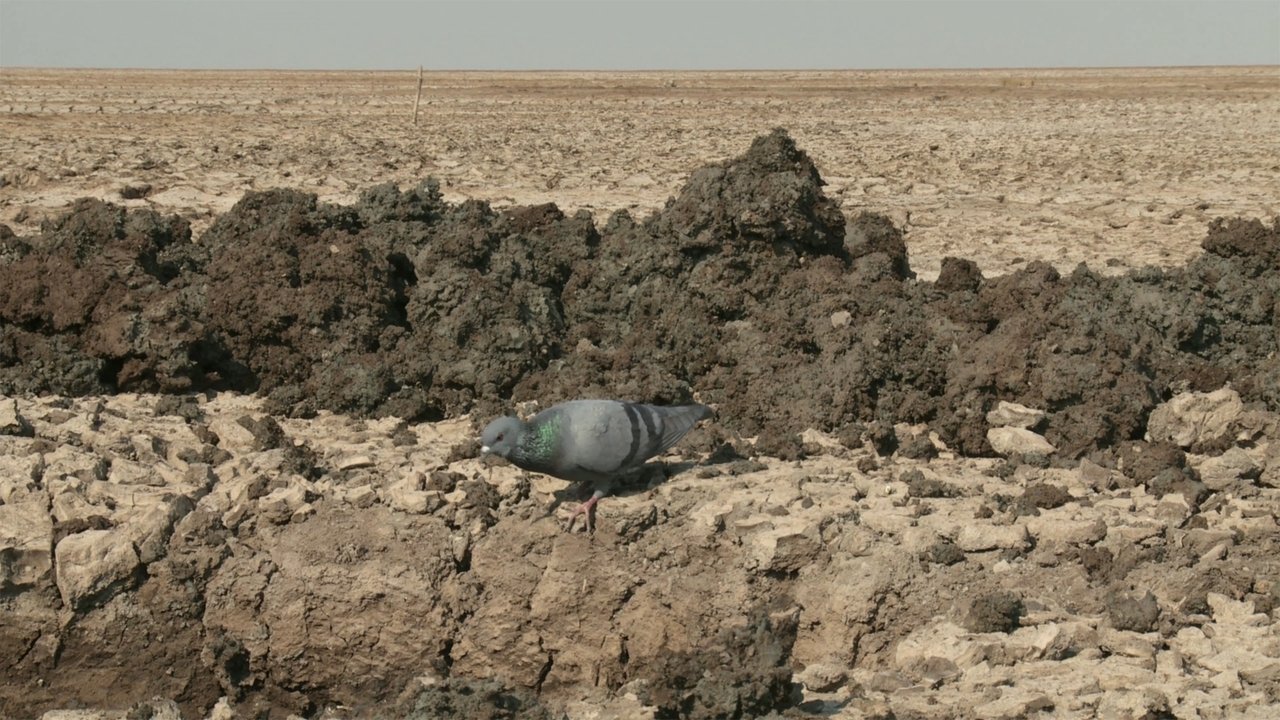 Backdrop image for movie My Name Is Salt