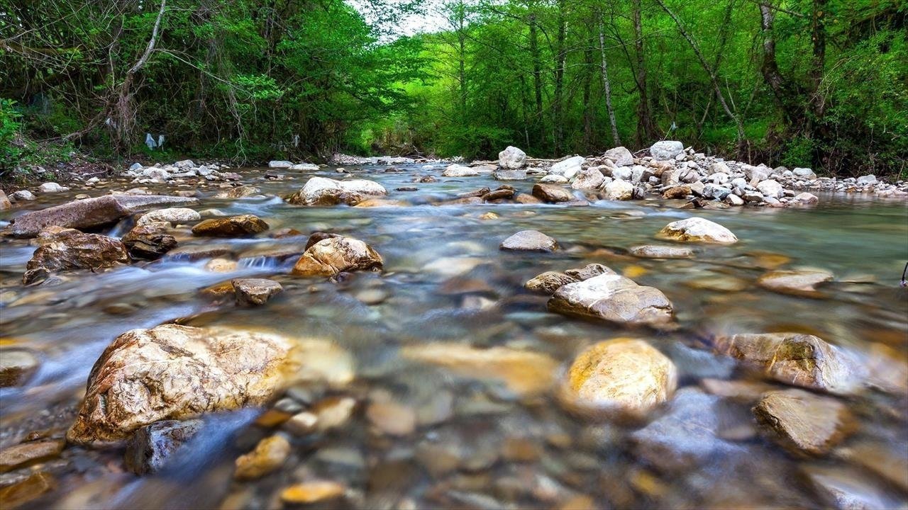 Backdrop image for movie La Rivière
