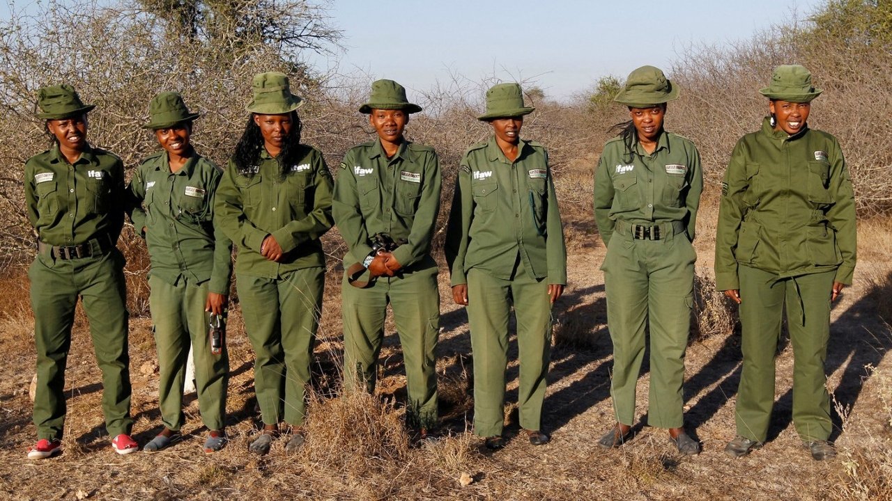 Backdrop image for movie Women, Maasai and rangers - The lionesses of Kenya