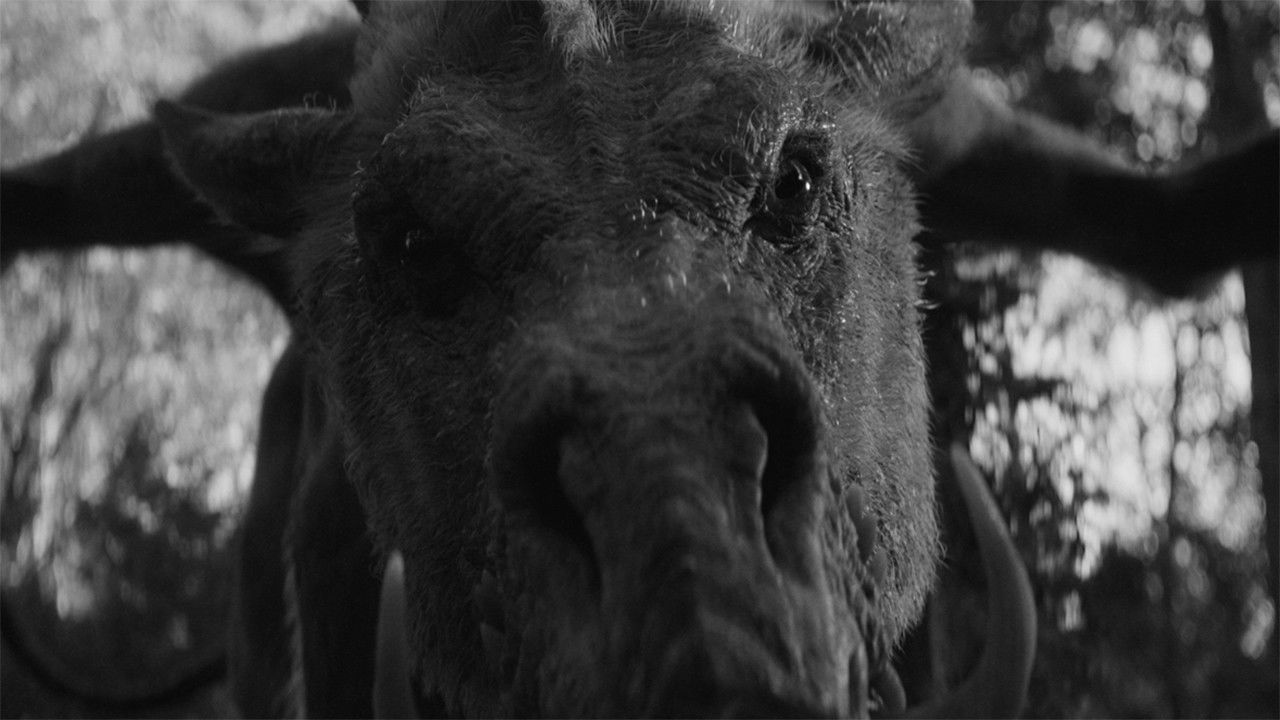 Backdrop image for movie Em & Selma Go Griffin Hunting