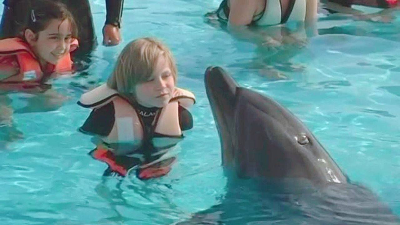 Backdrop image for movie Saving Flipper