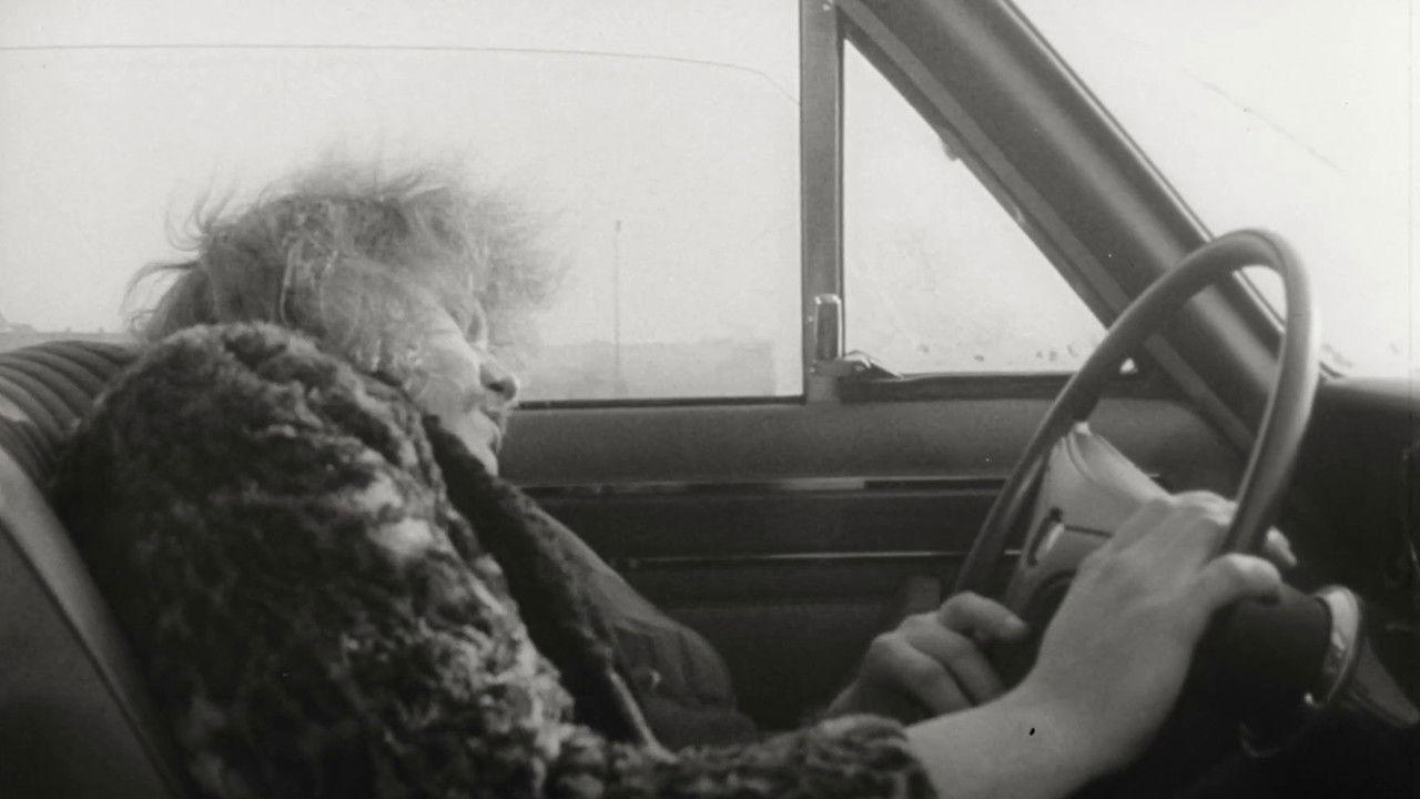 Backdrop image for movie Auf Scheisser schiesst man nicht