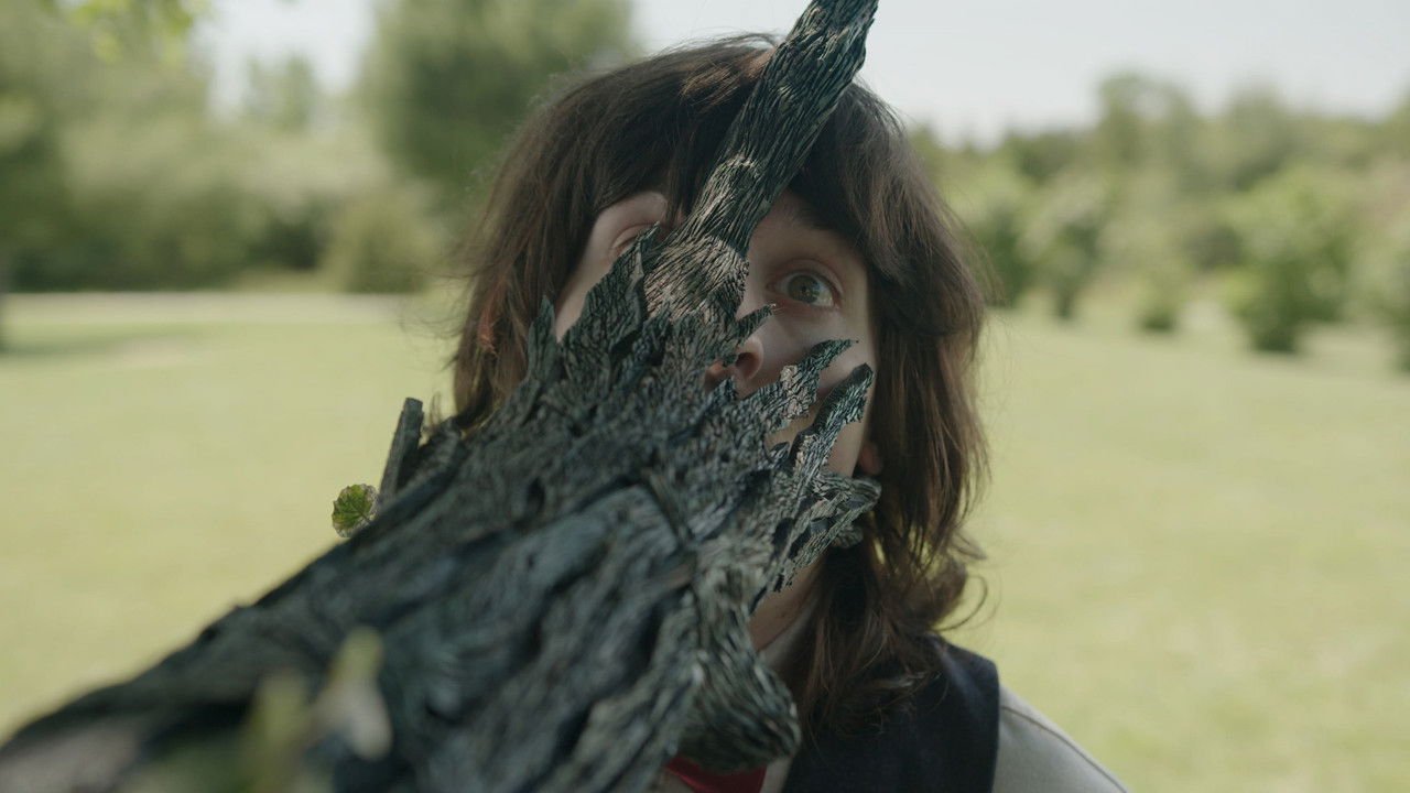 Backdrop image for movie The Taking Tree