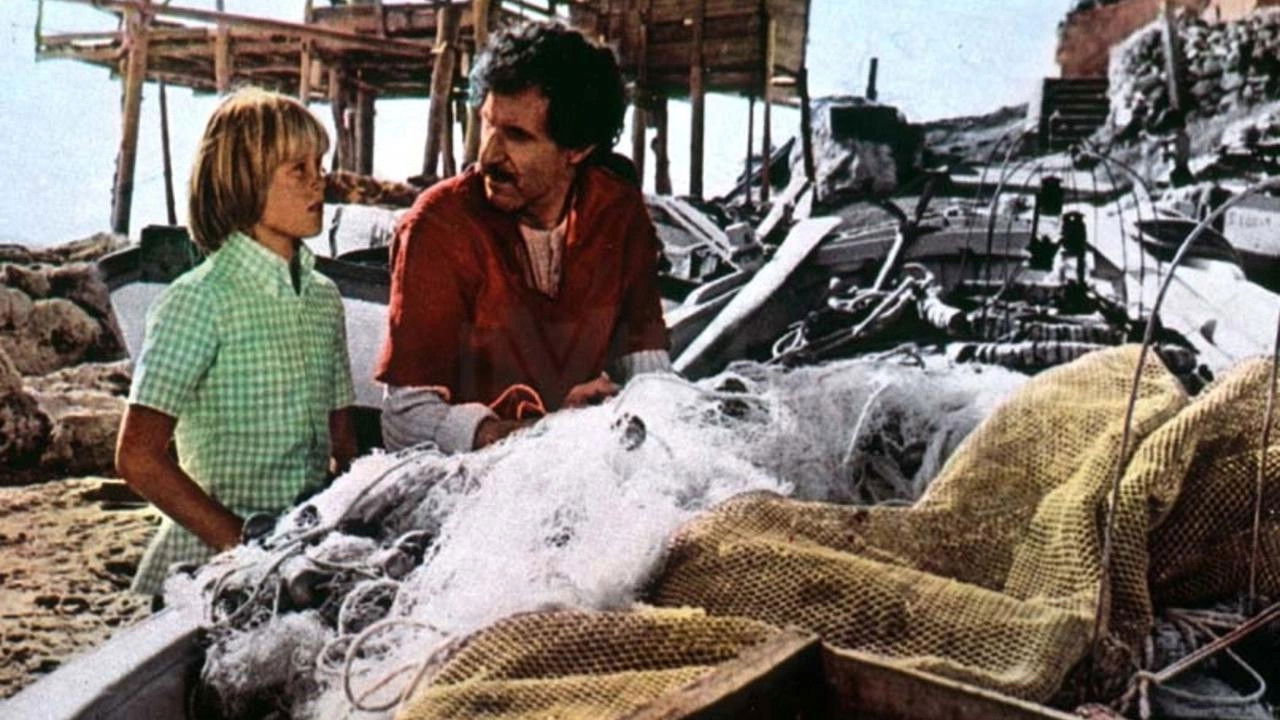 Backdrop image for movie White Horses of Summer