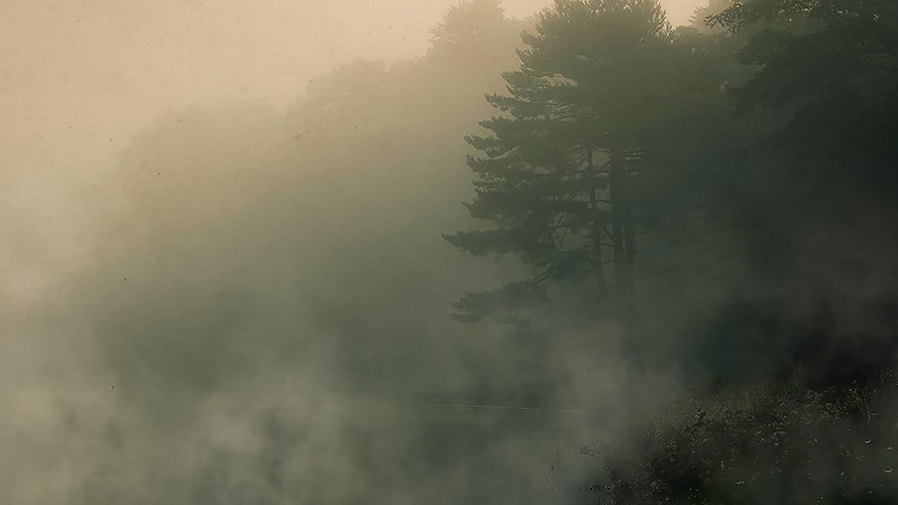 Backdrop image for movie Devil in the Ozarks