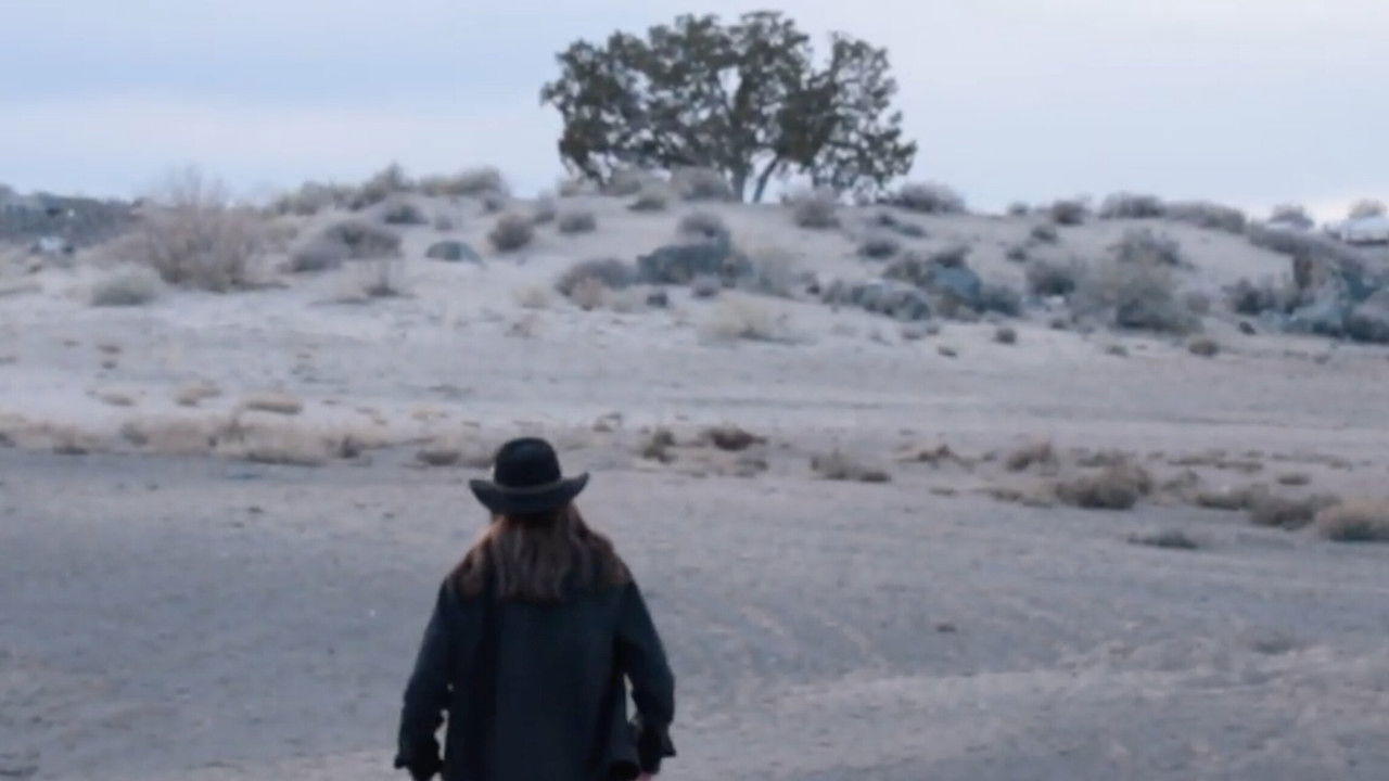 Backdrop image for movie Man in the Mesa