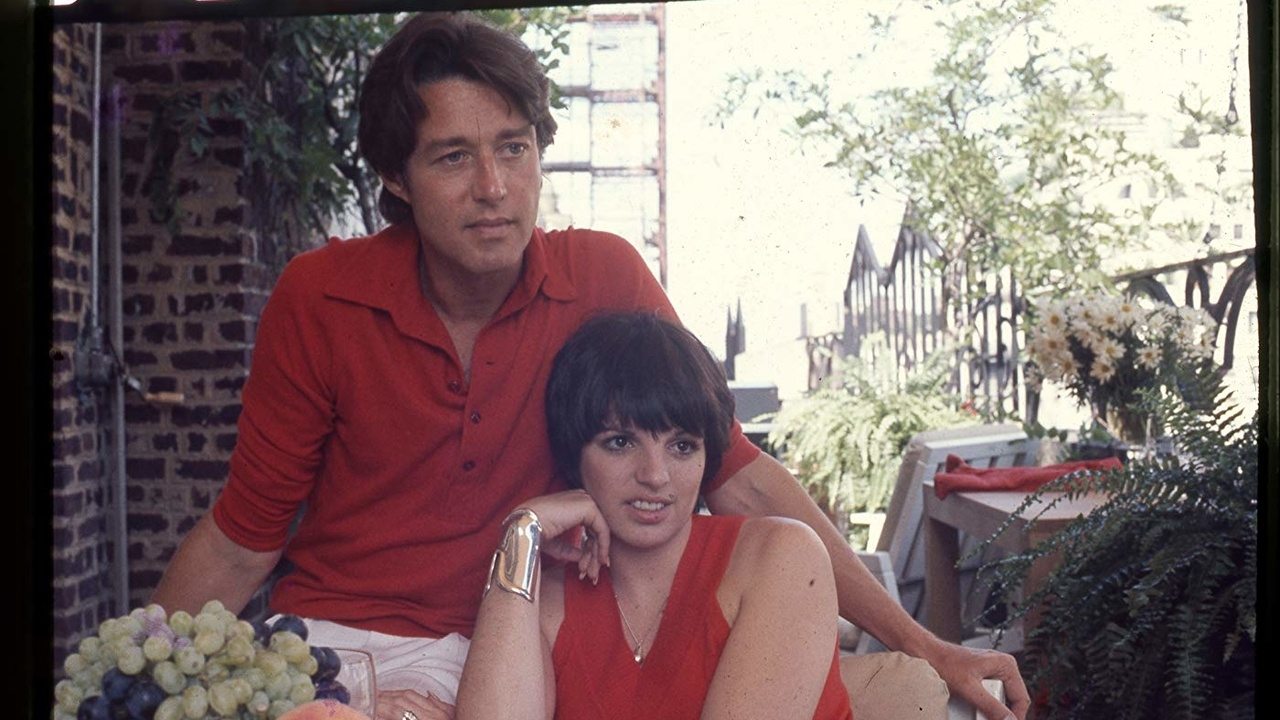 Backdrop image for movie Halston