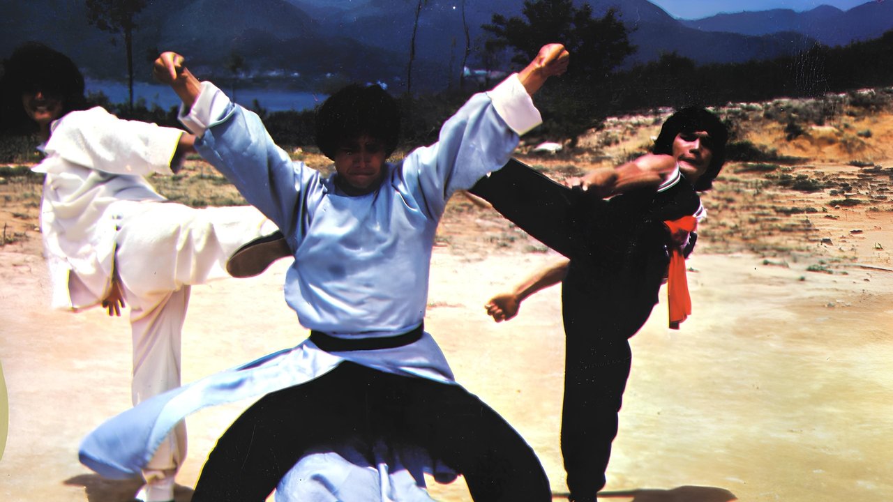 Backdrop image for movie The Dragon, the Hero