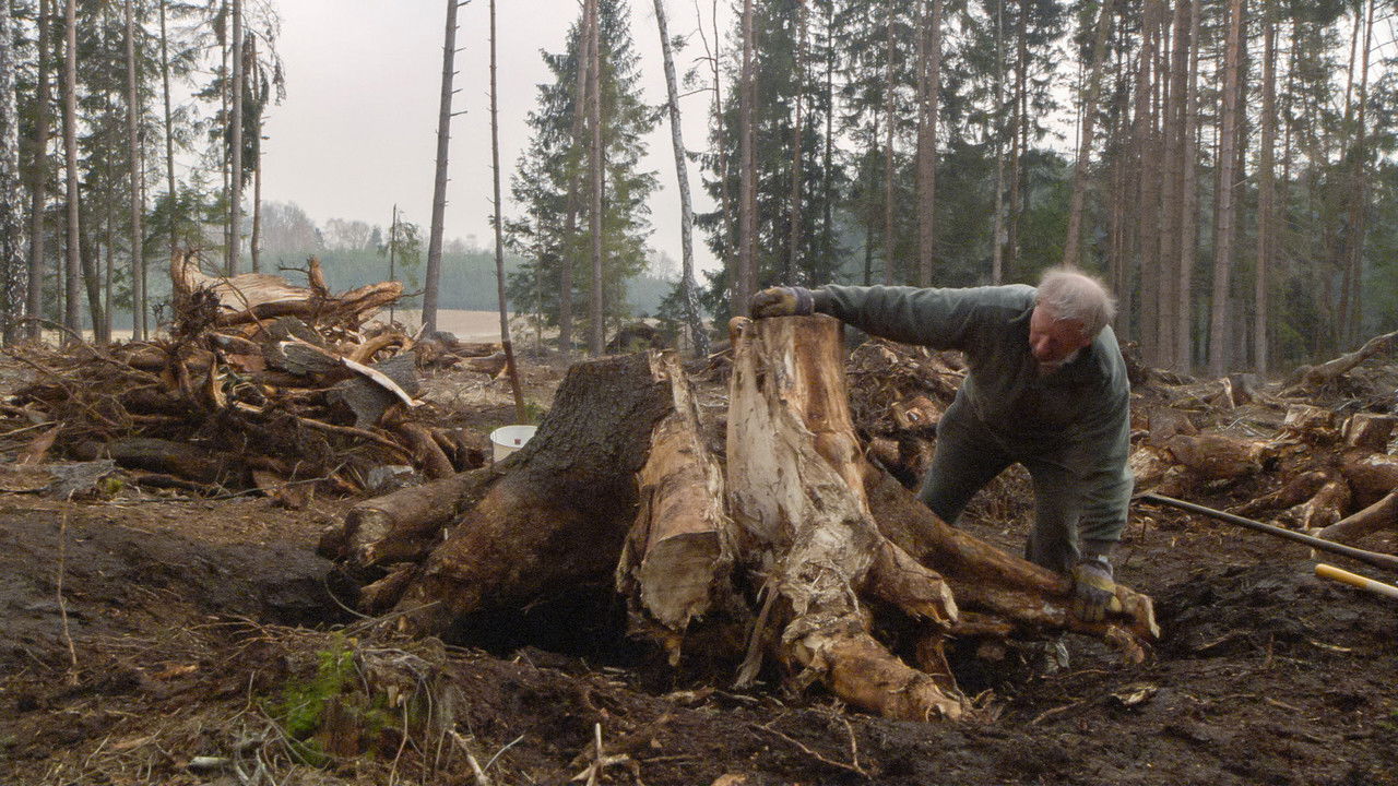 Backdrop image for movie Over the Years