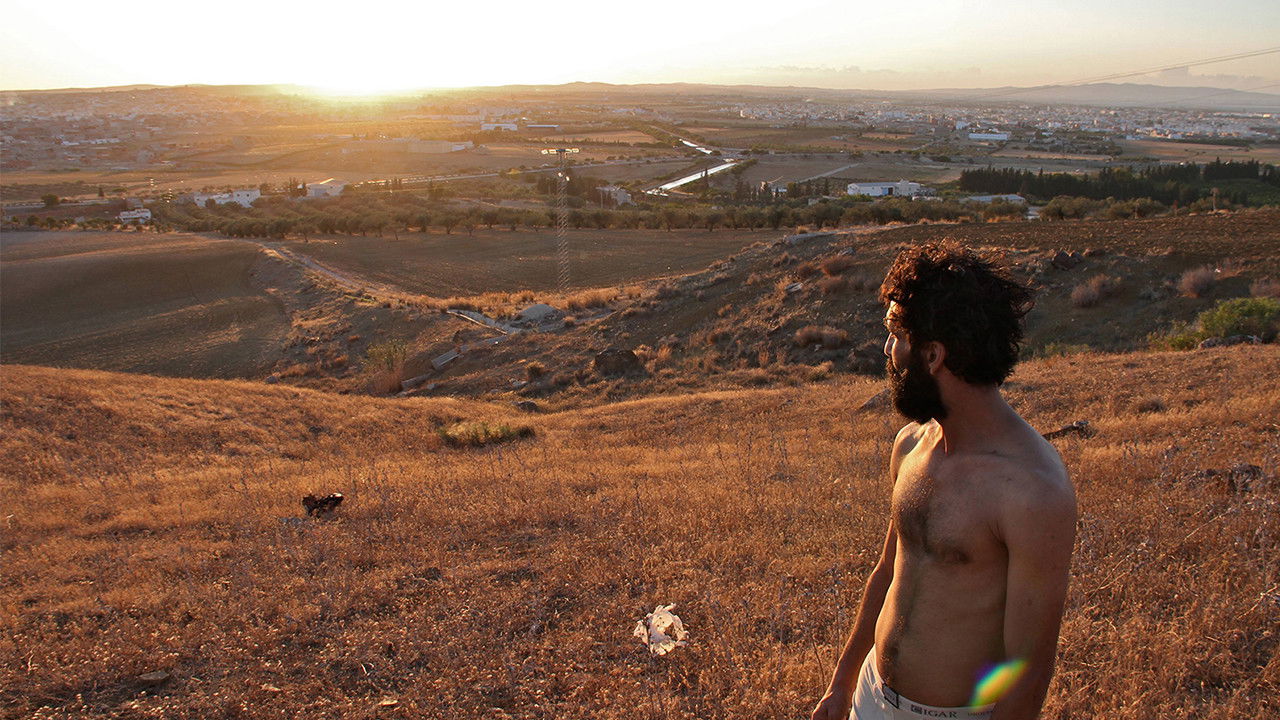 Backdrop image for movie The Disqualified