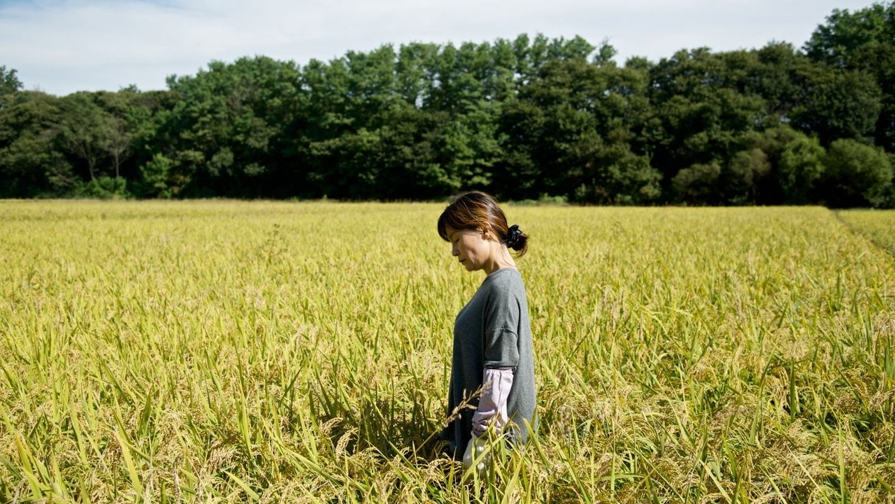 Backdrop image for movie In Her Place