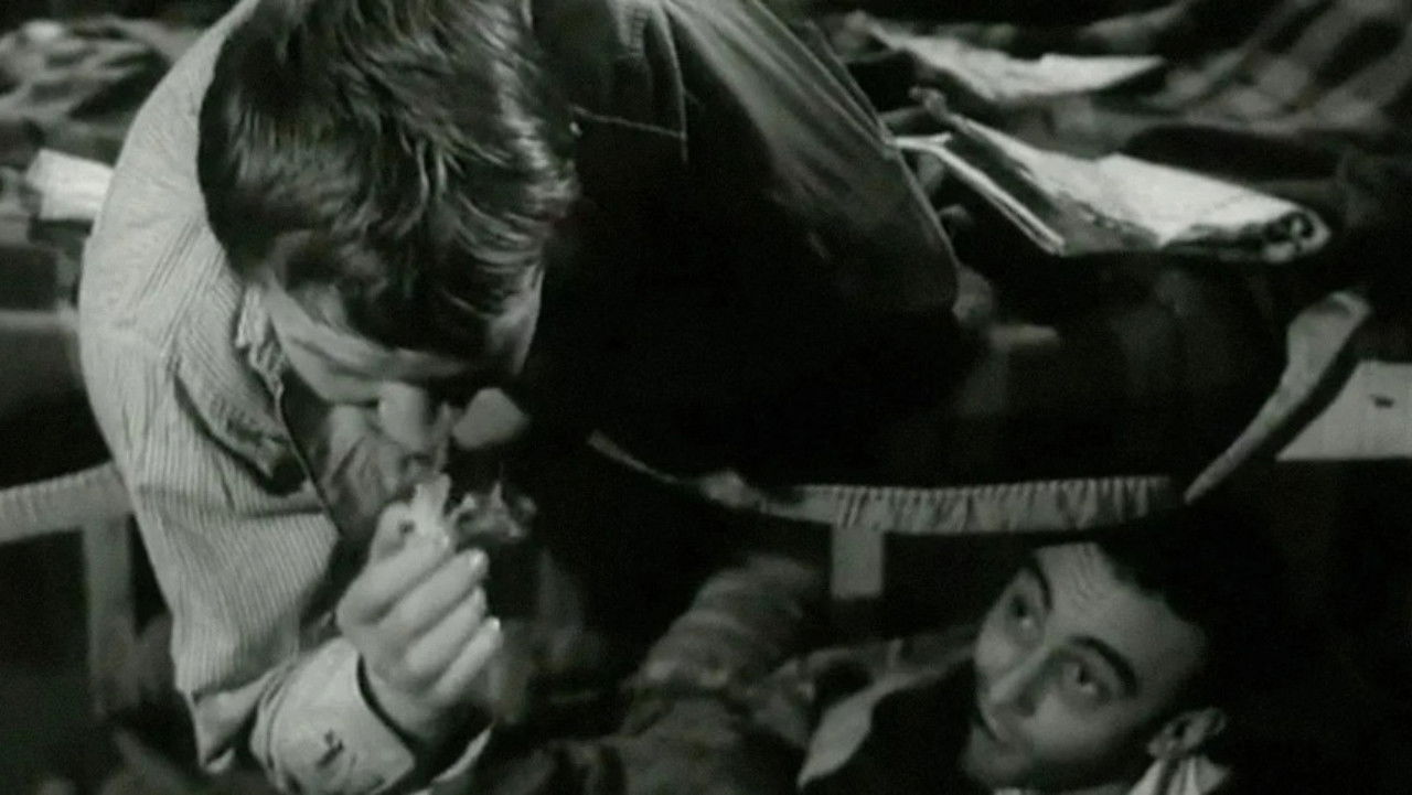 Backdrop image for movie Les Ratés