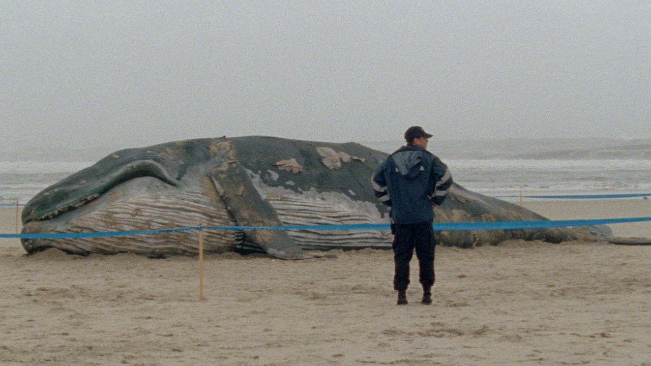 Backdrop image for movie Arabian Nights: Volume 1, The Restless One