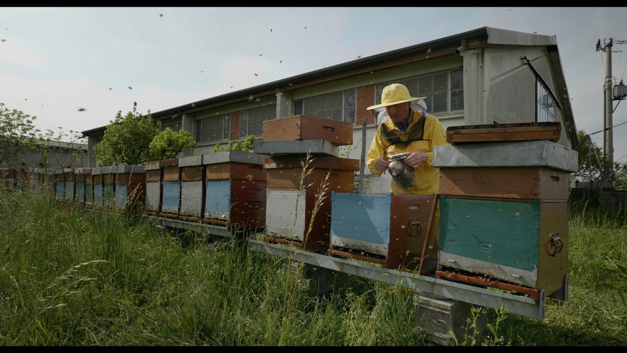 Backdrop image for movie A Powerful Passion