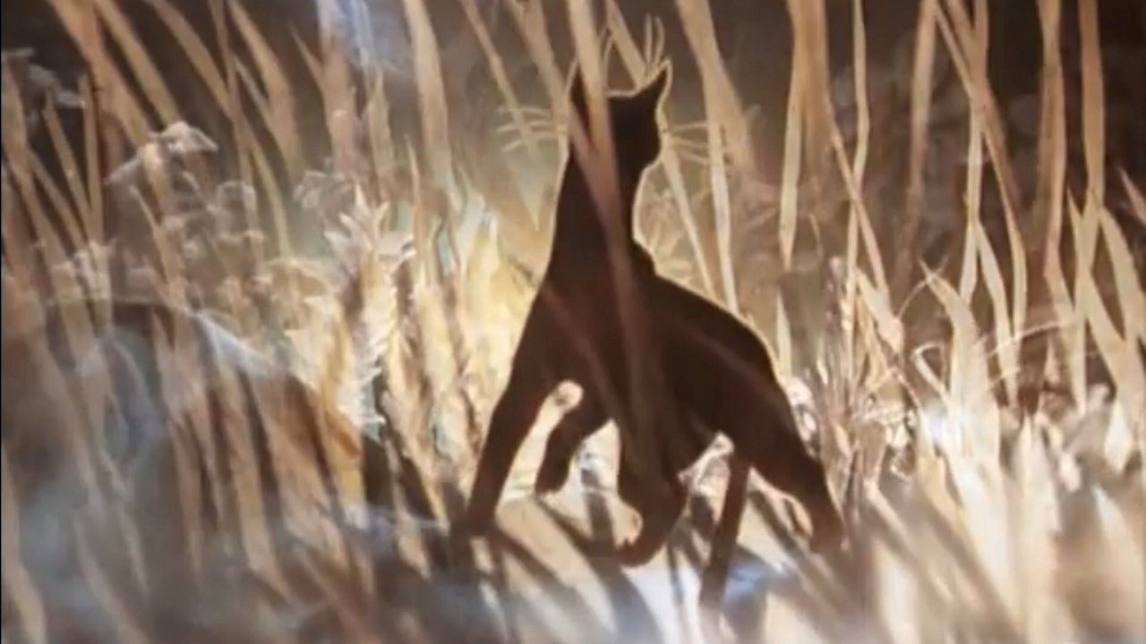 Backdrop image for movie The Cat Who Walked by Herself