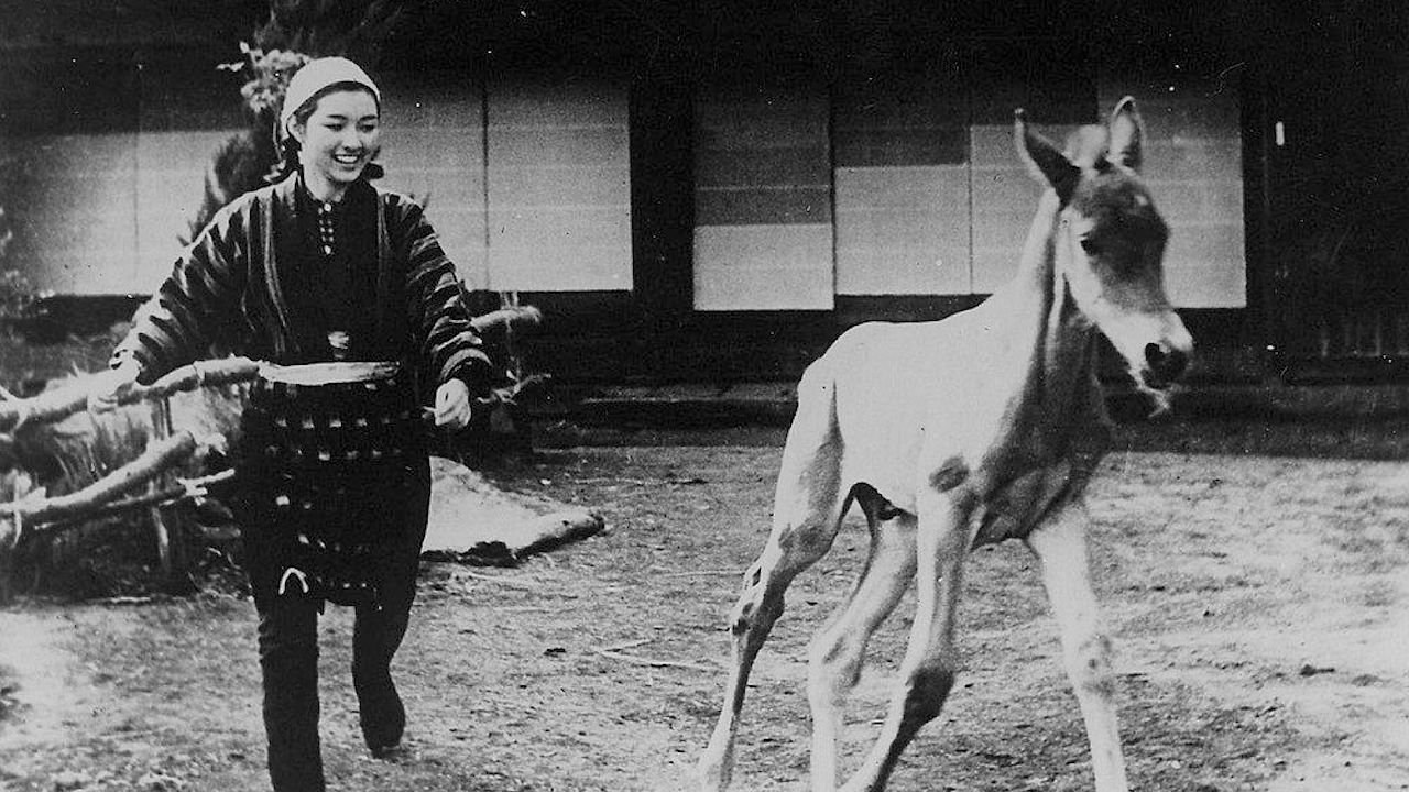 Backdrop image for movie Horse
