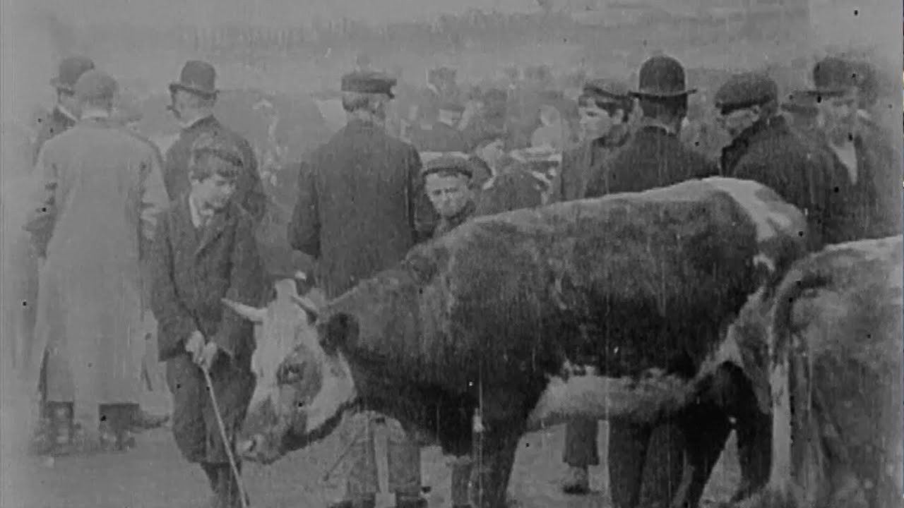 Backdrop image for movie Cattle Market in Derry