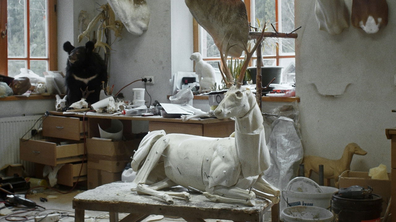 Backdrop image for movie Animus Animalis (A Story about People, Animals and Things)