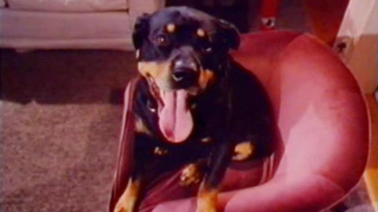 Backdrop image for movie Mania