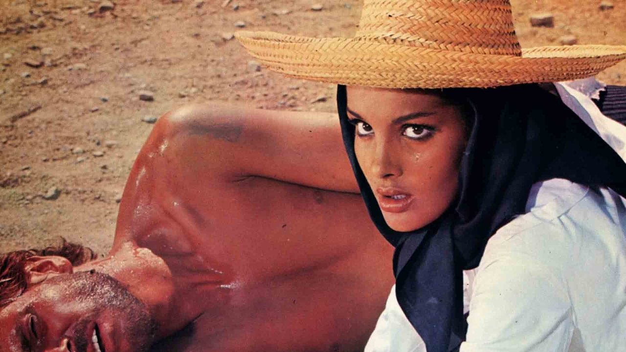 Backdrop image for movie Seven Guns for the MacGregors