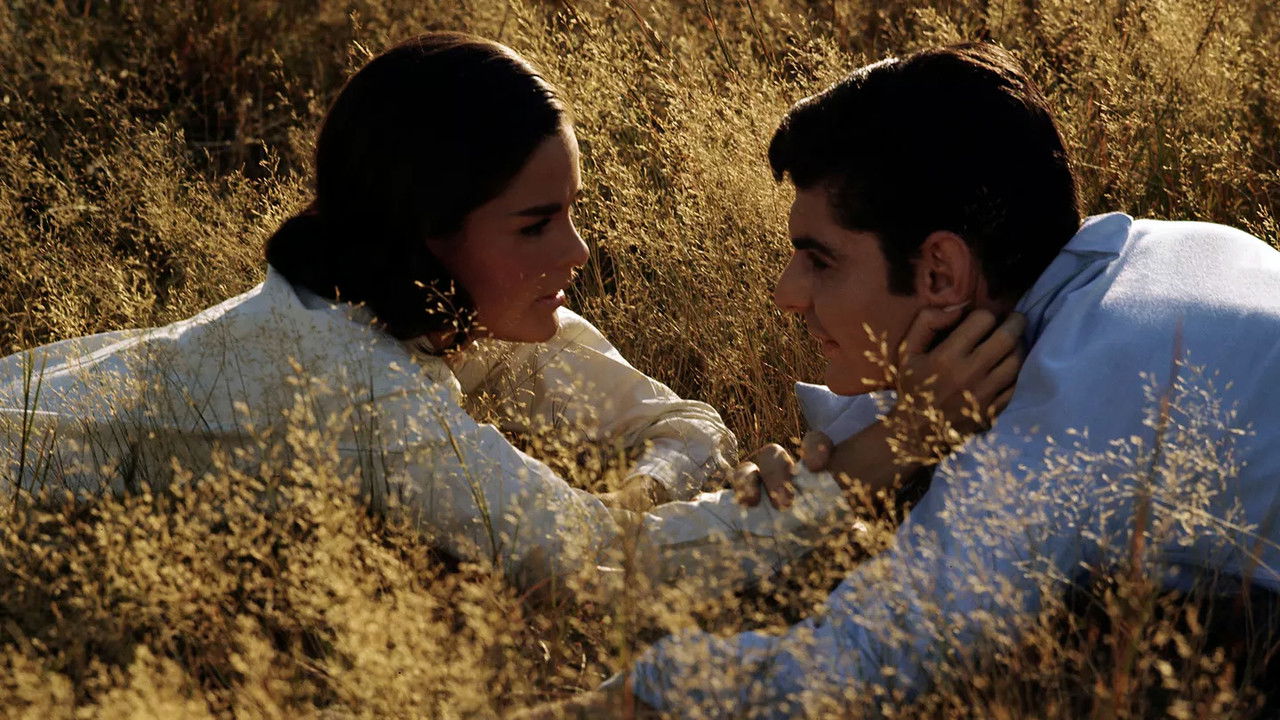 Backdrop image for movie Goodbye, Columbus