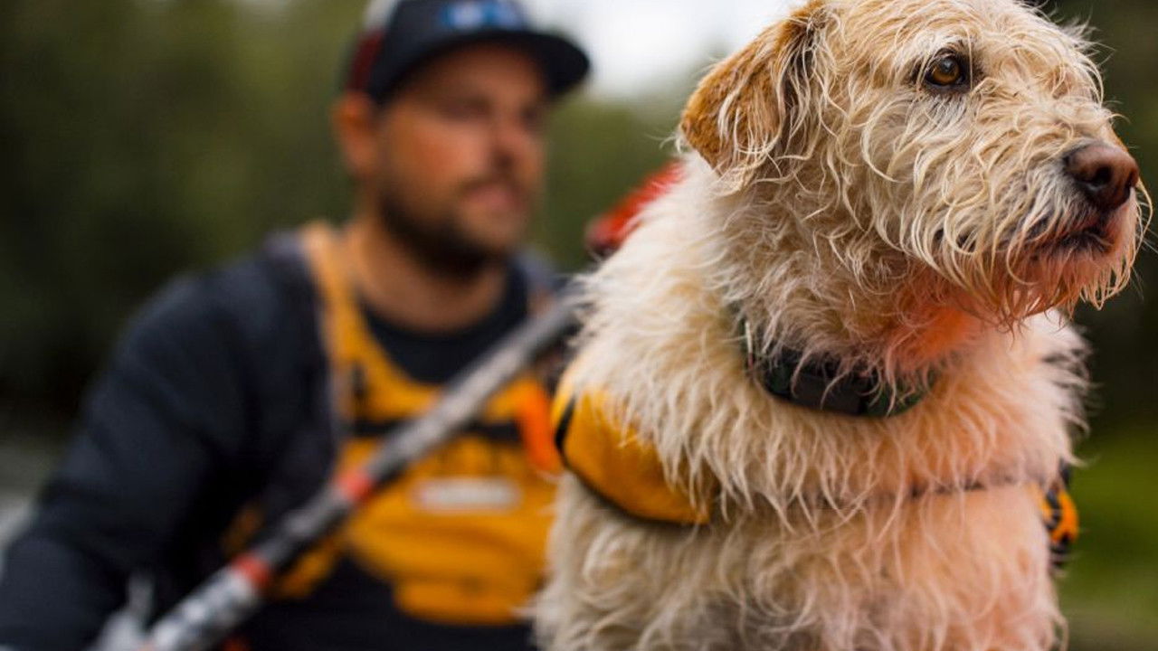 Backdrop image for movie Arthur