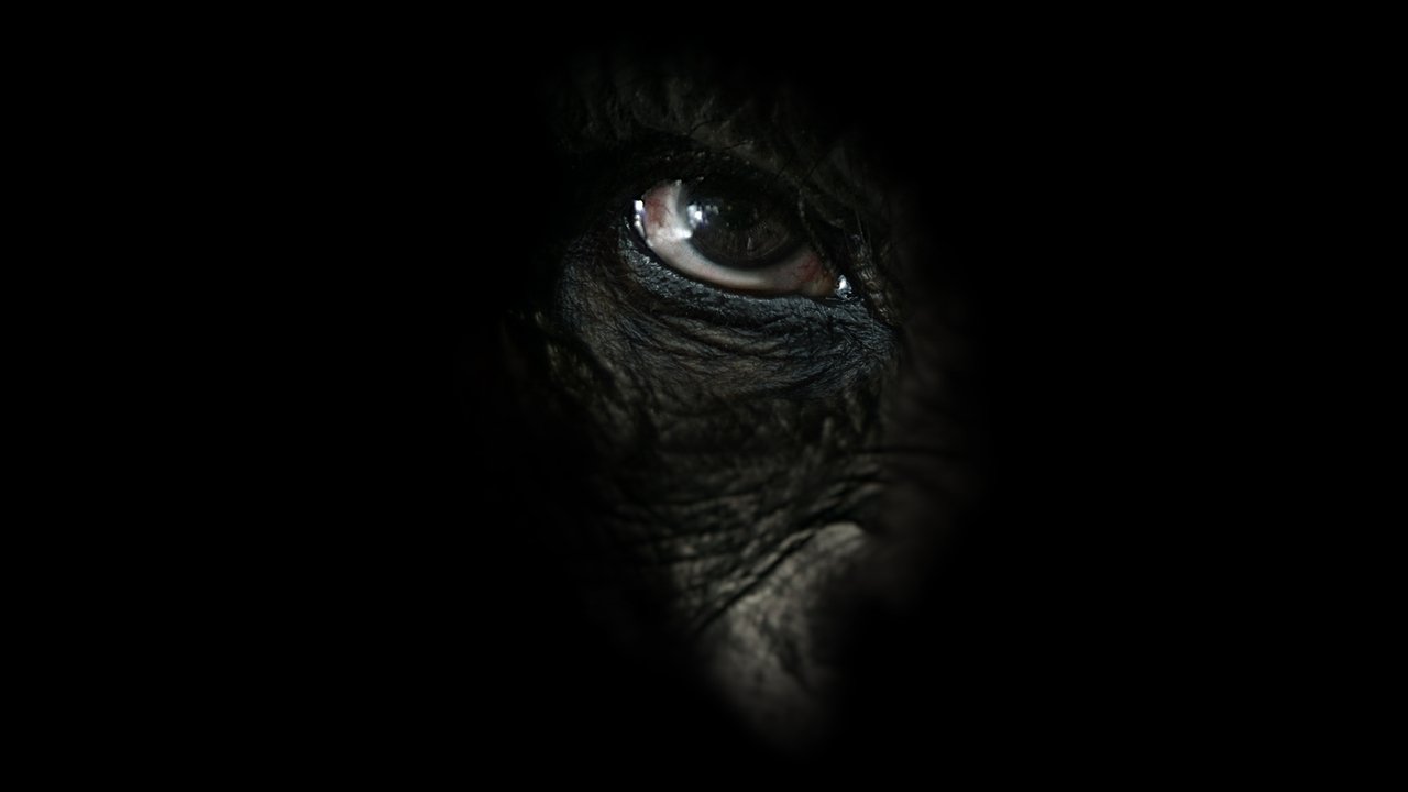Backdrop image for movie Rise of the Warrior Apes