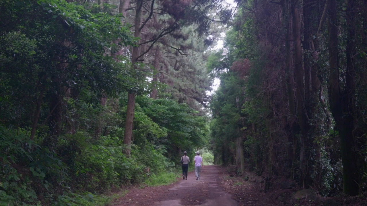 Backdrop image for movie The Time of Jeju