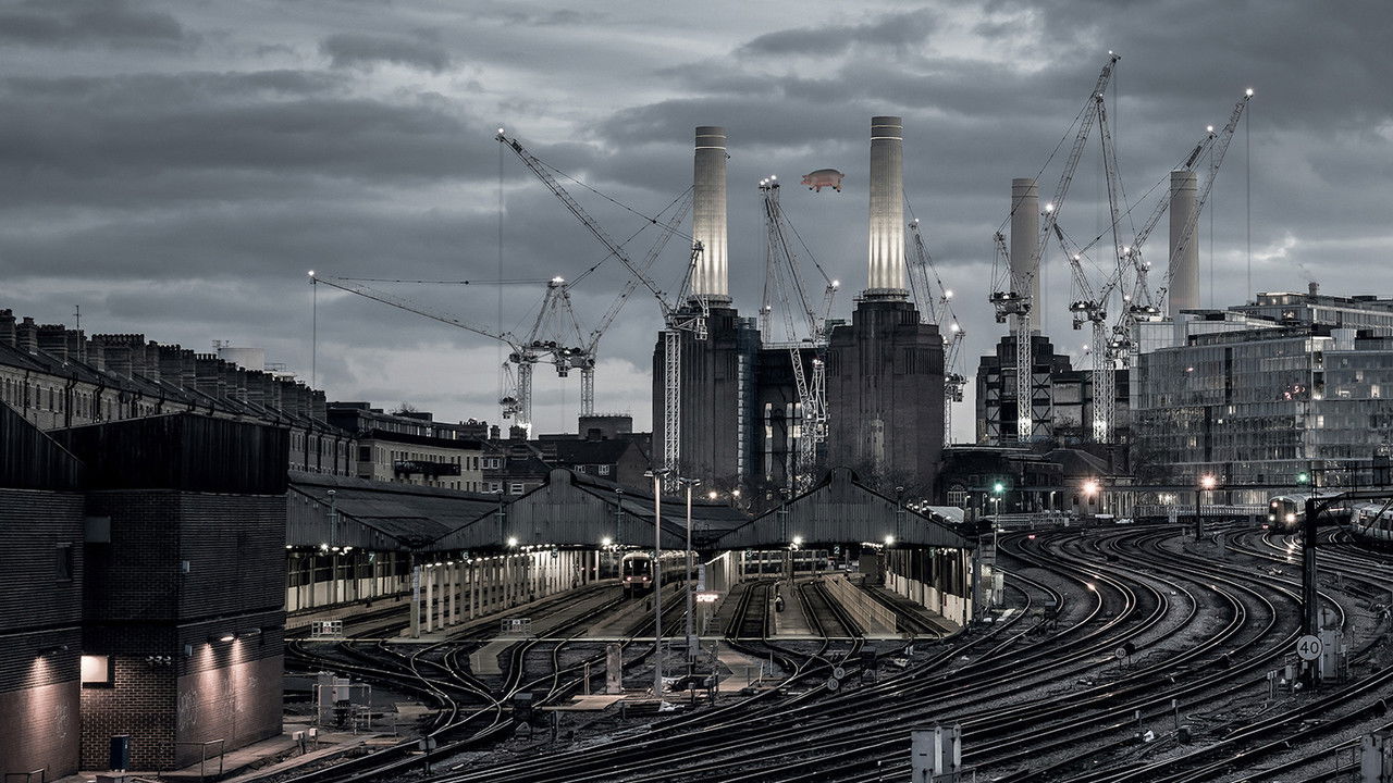 Backdrop image for movie Pink Floyd: Animals (2018 Remix)