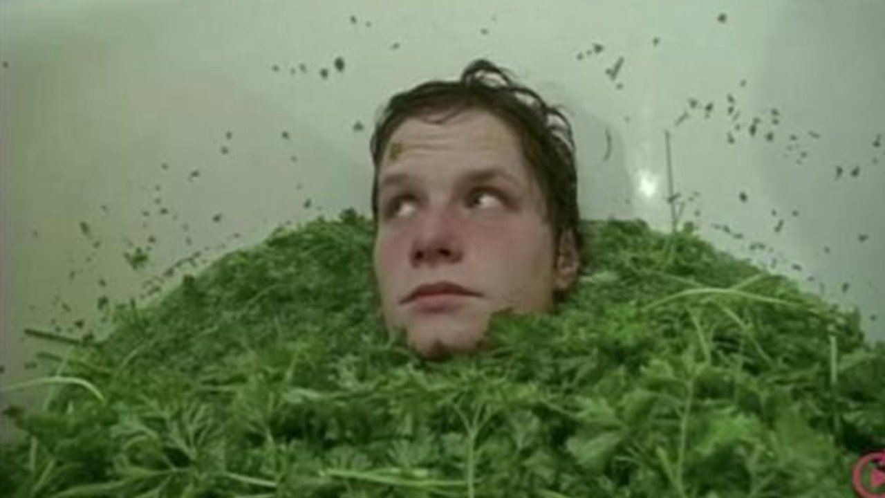 Backdrop image for movie Parsley Days
