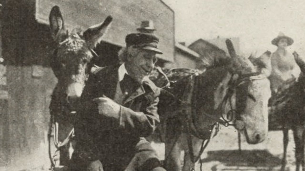 Backdrop image for movie The Eye of the Night
