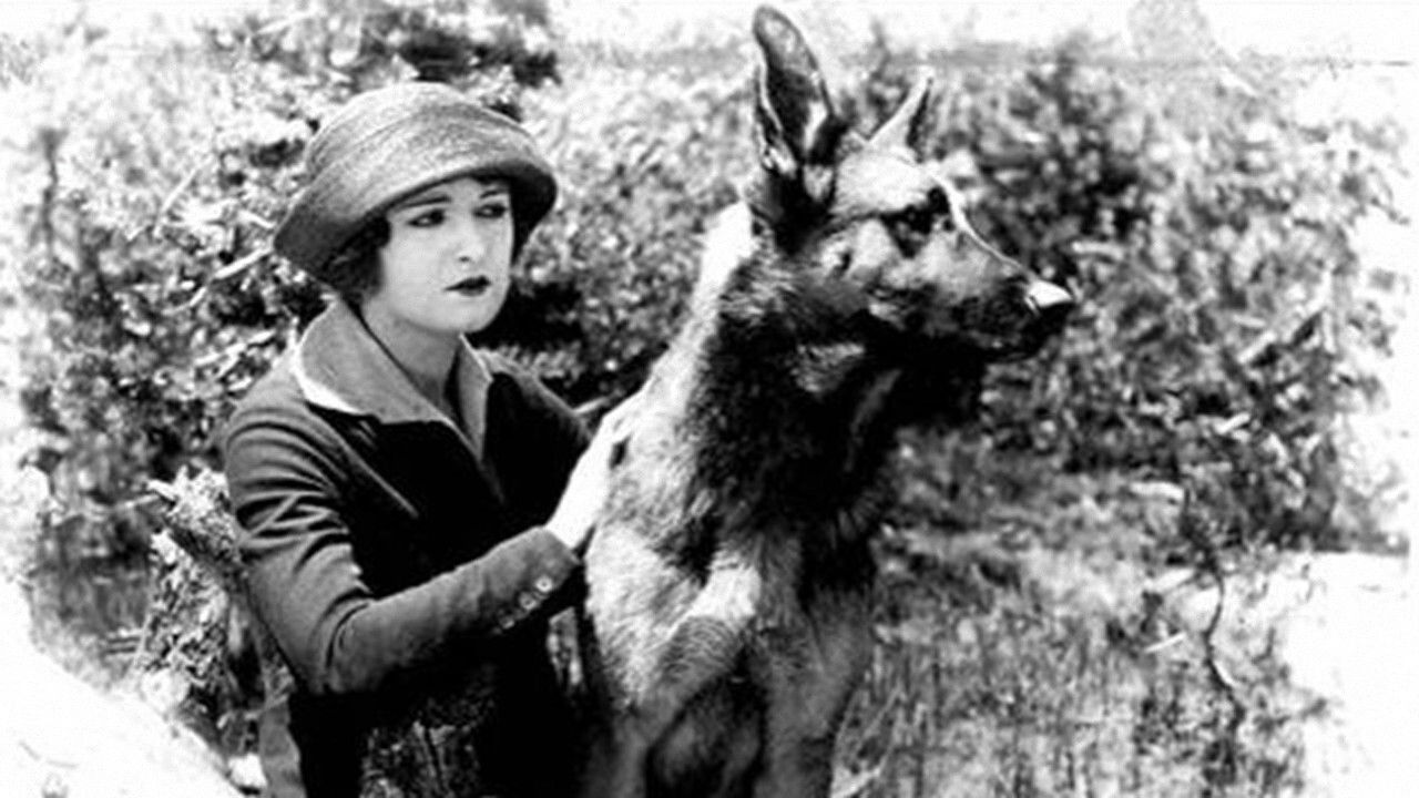 Backdrop image for movie The Silent Call