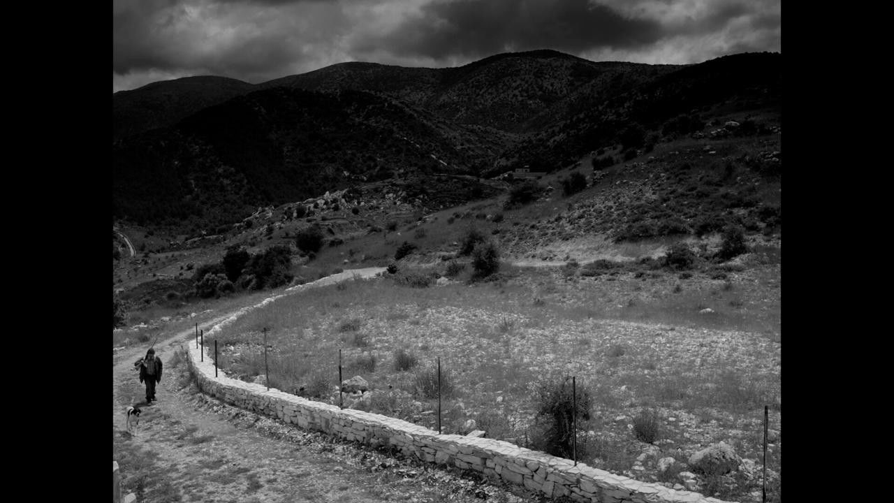 Backdrop image for movie Remains