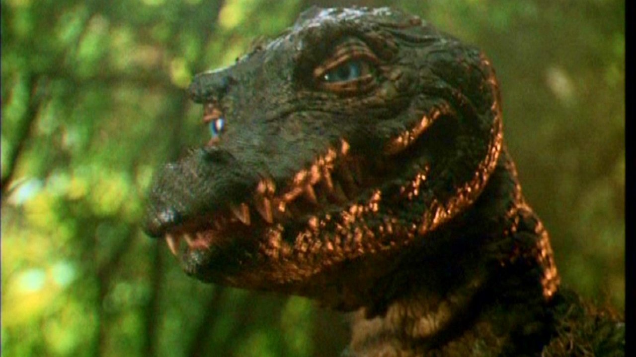 Backdrop image for movie The Legend of Gator Face