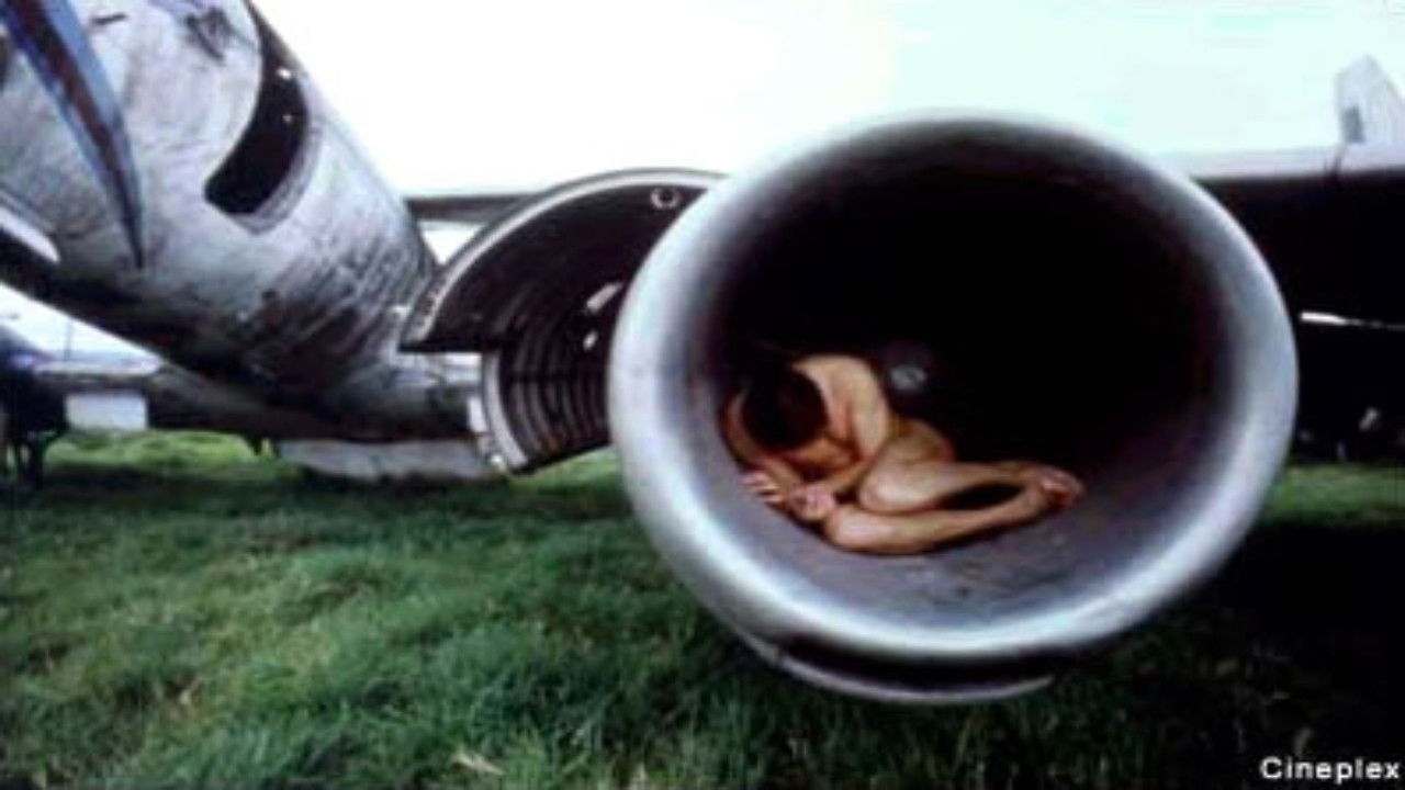 Backdrop image for movie Terminal