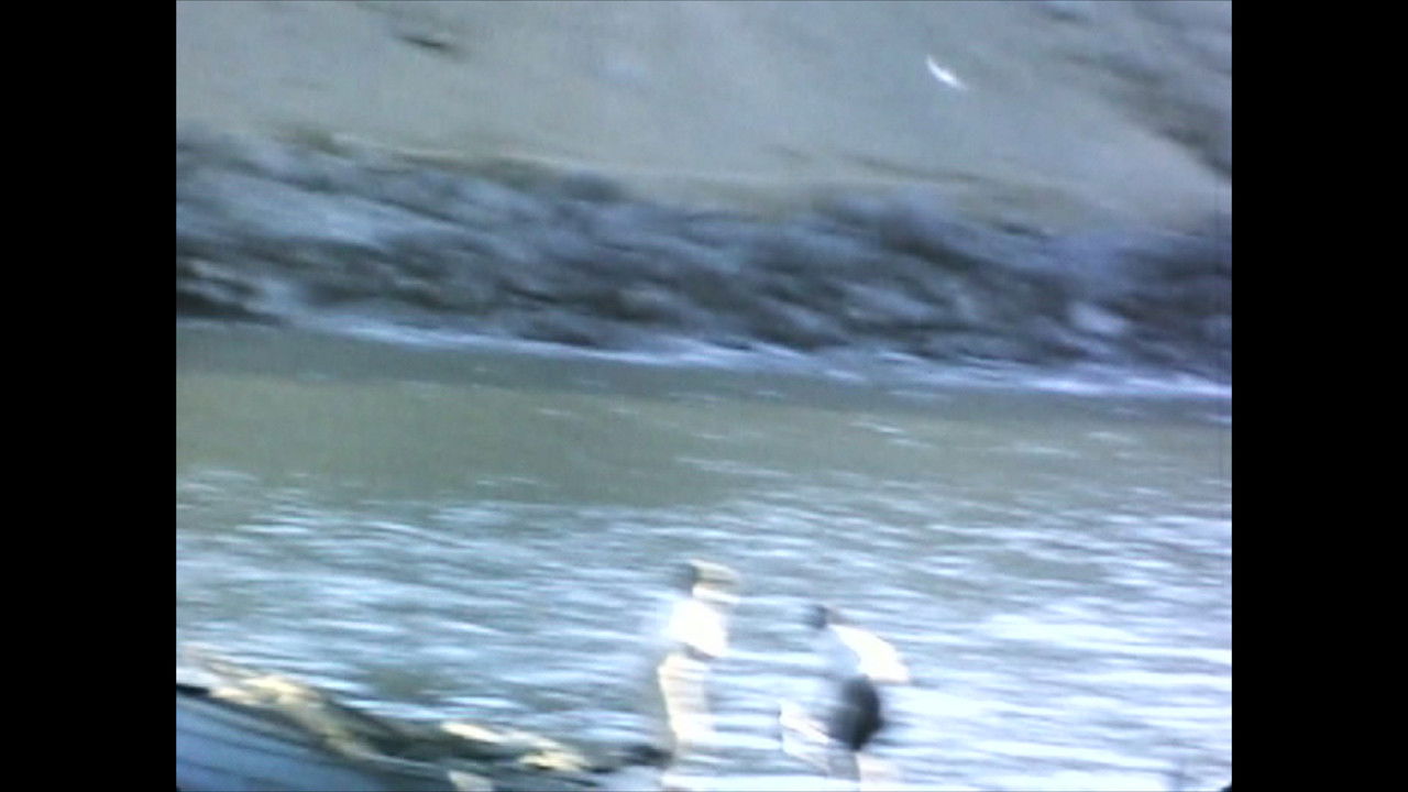 Backdrop image for movie El Perú es un lugar para morir