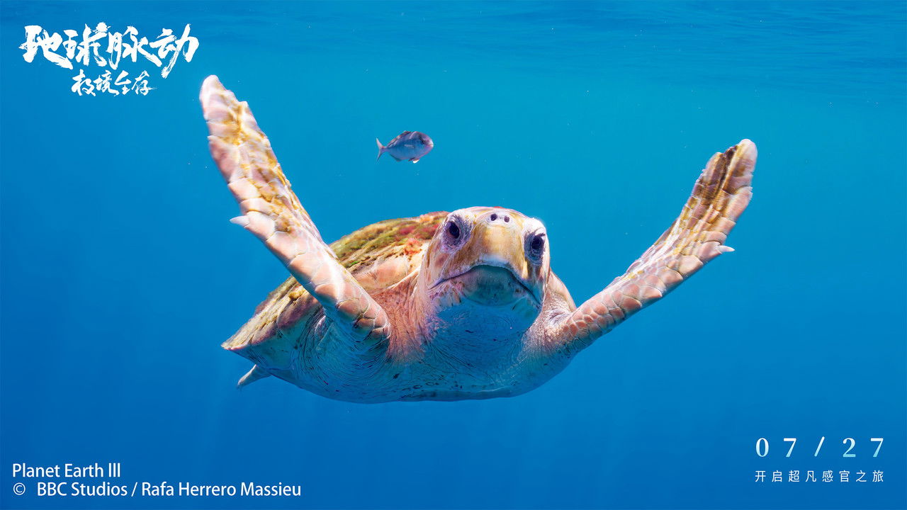 Backdrop image for movie Planet Earth: Hostile Paradise or Perfect Hell?