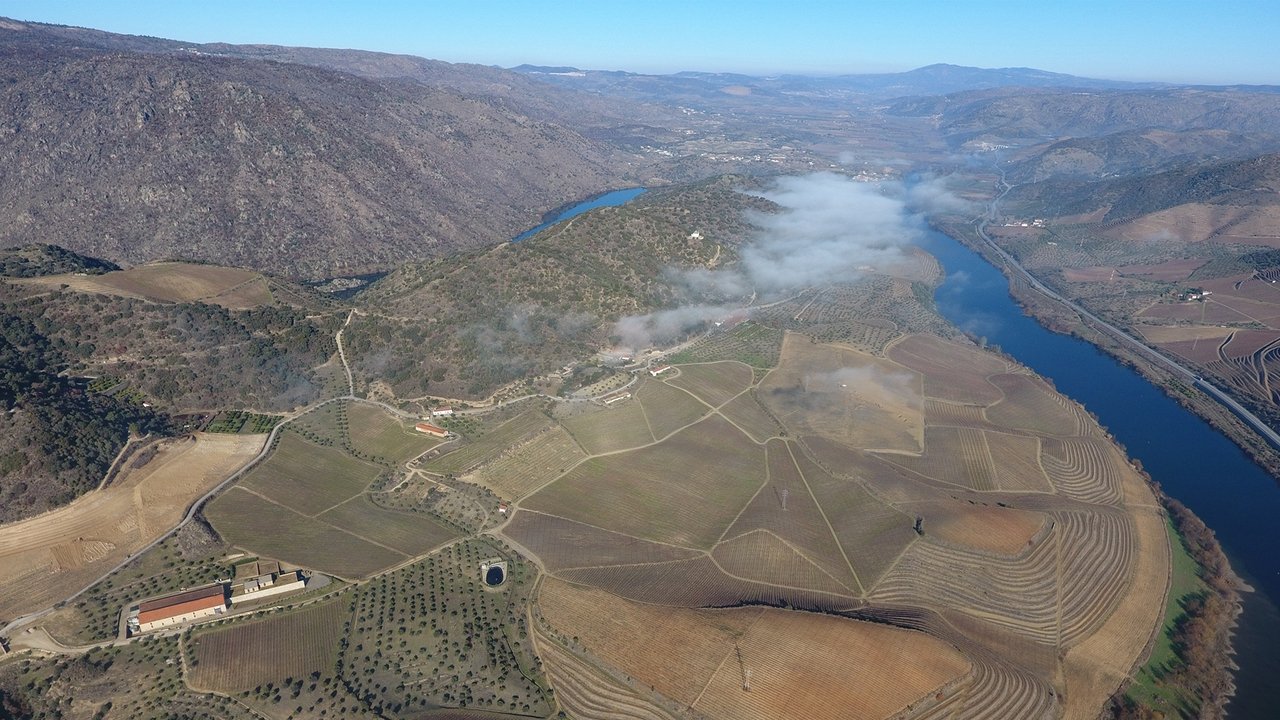 Backdrop image for movie The Douro Boys: Winter Season