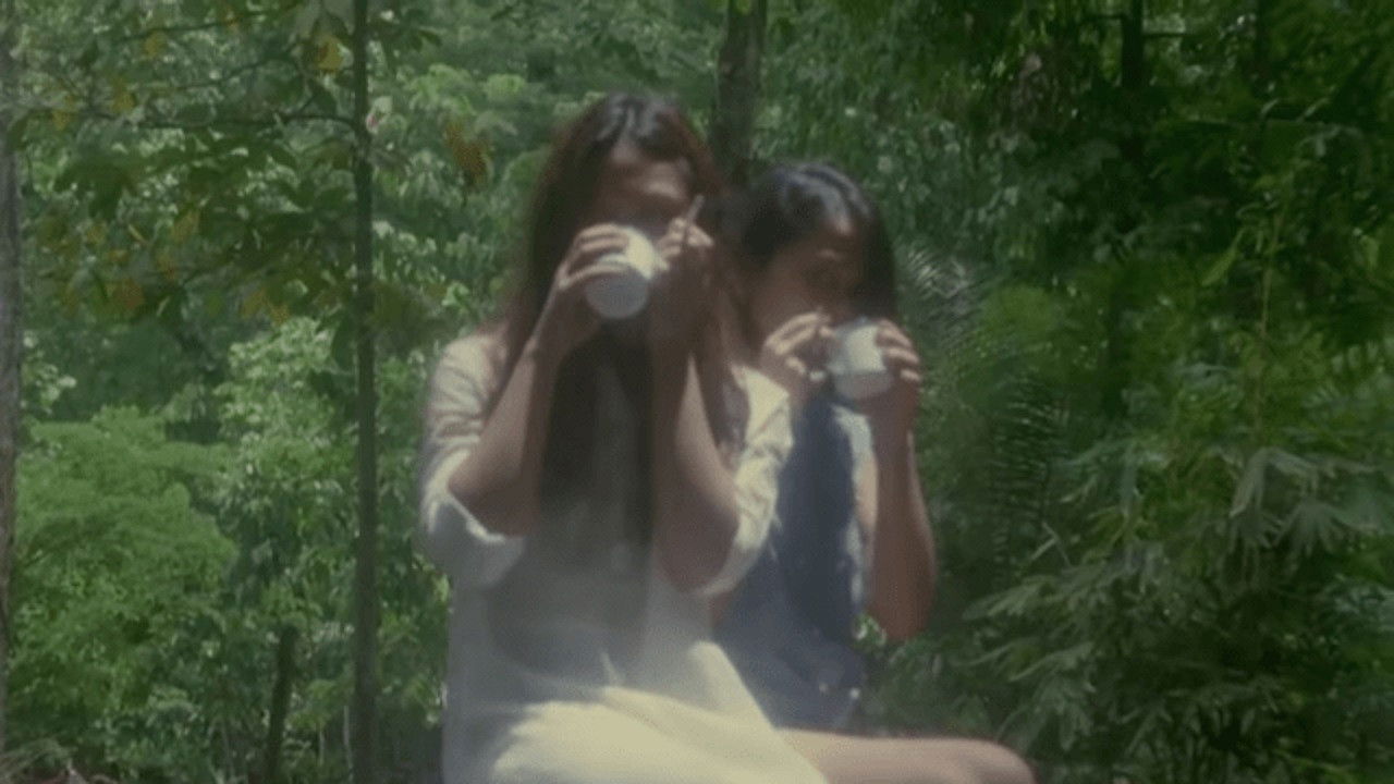 Backdrop image for movie People Power Bombshell: The Diary of Vietnam Rose