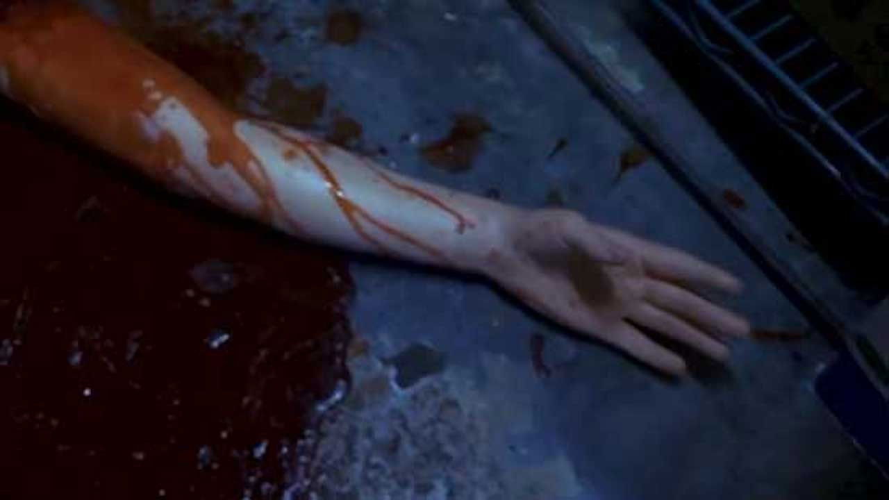 Backdrop image for movie Human Hibachi