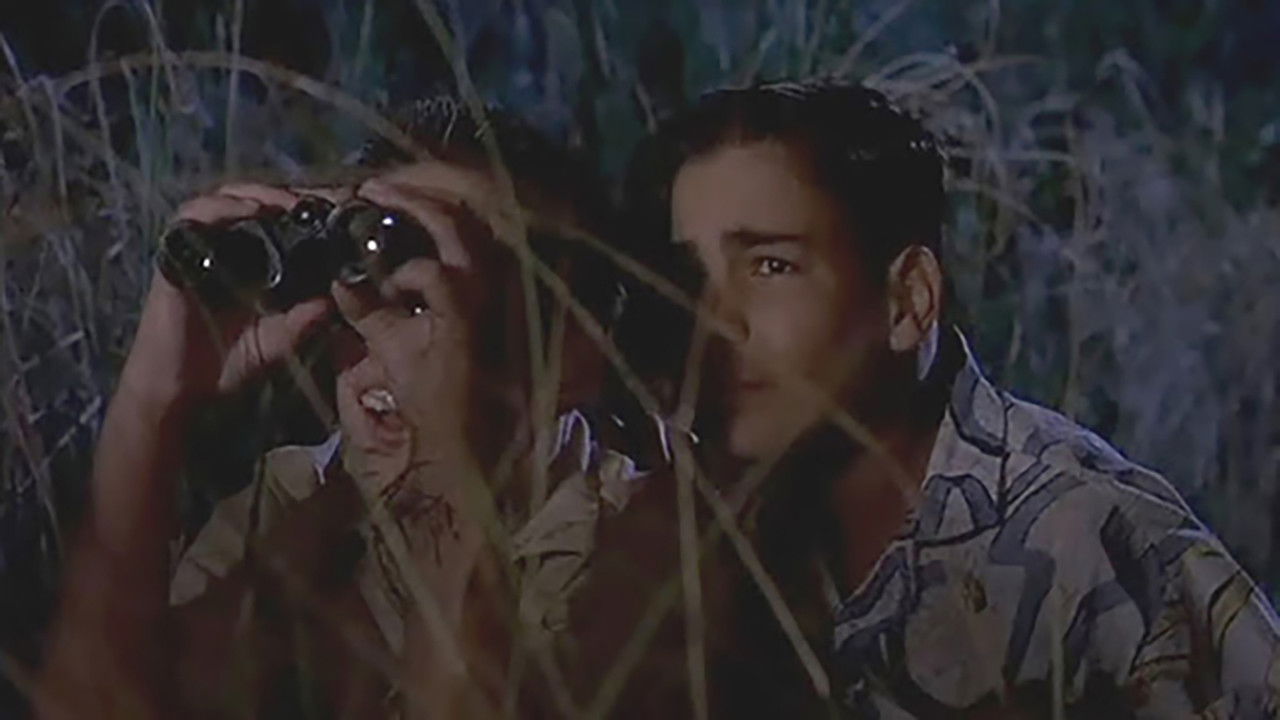 Backdrop image for movie Just Looking