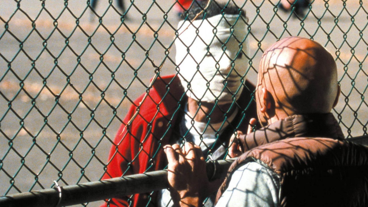 Backdrop image for movie Steak