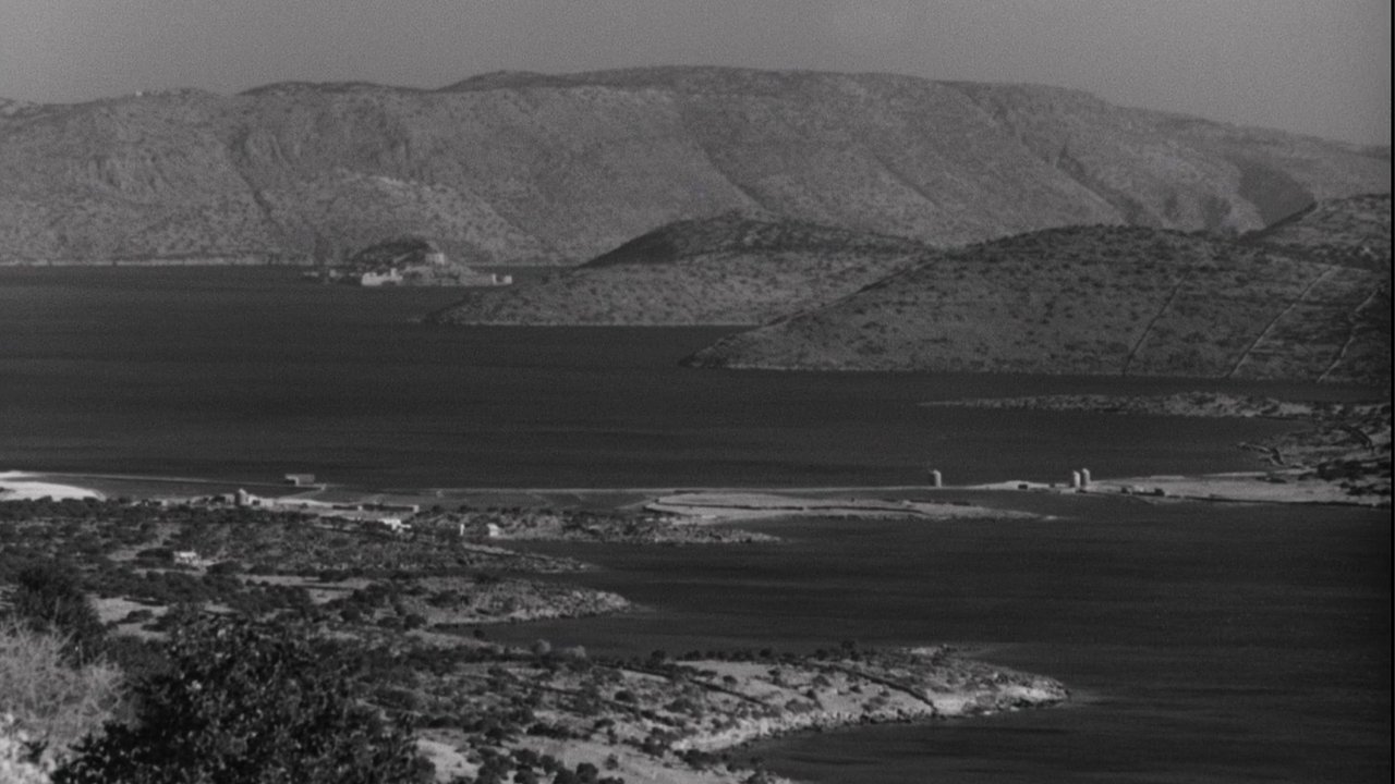 Backdrop image for movie Last Words