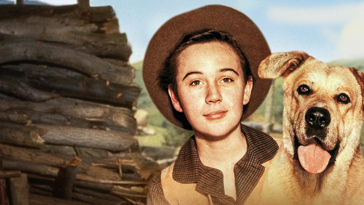 Backdrop image for movie Old Yeller