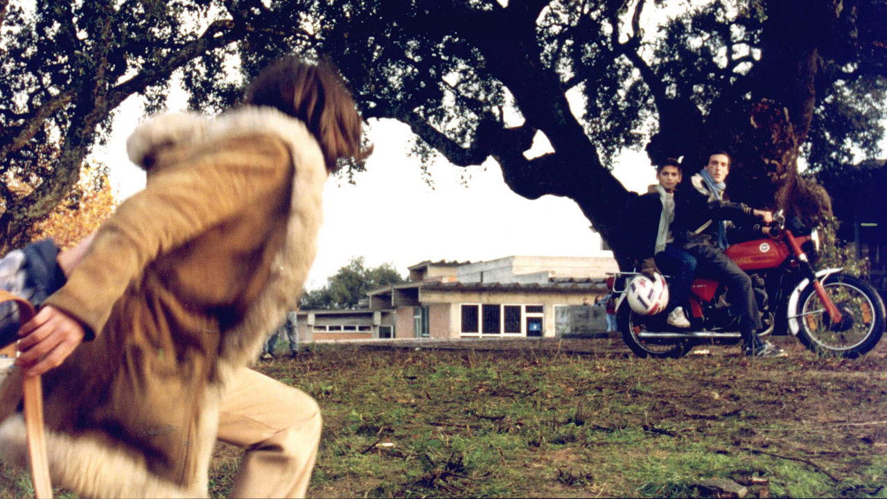 Backdrop image for movie Gloria