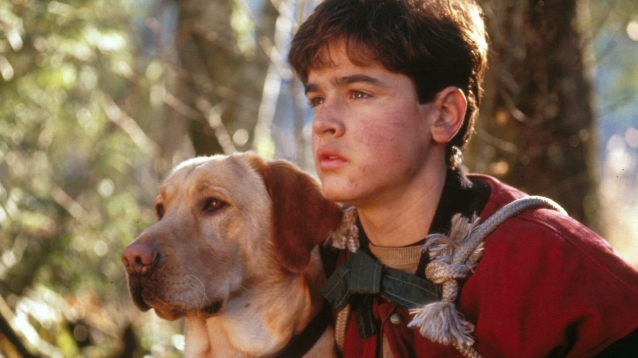 Backdrop image for movie Far from Home: The Adventures of Yellow Dog