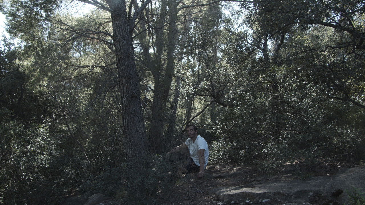 Backdrop image for movie The iron man.