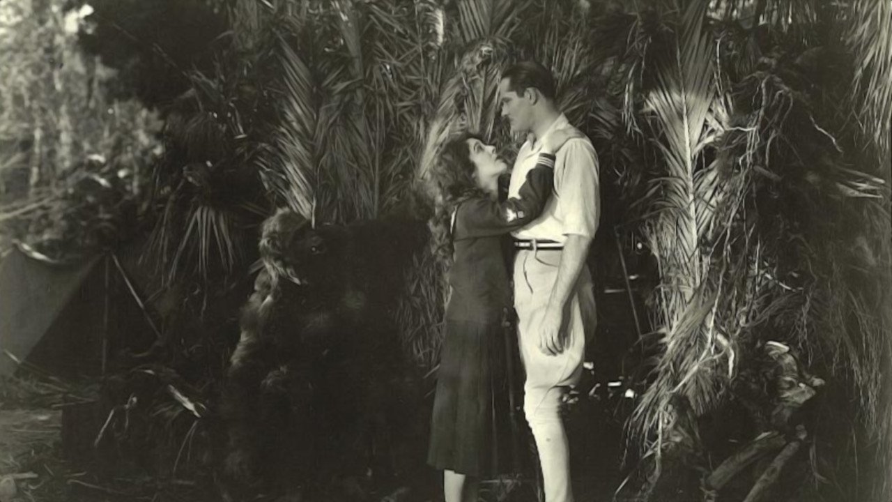 Backdrop image for movie Lorraine of the Lions