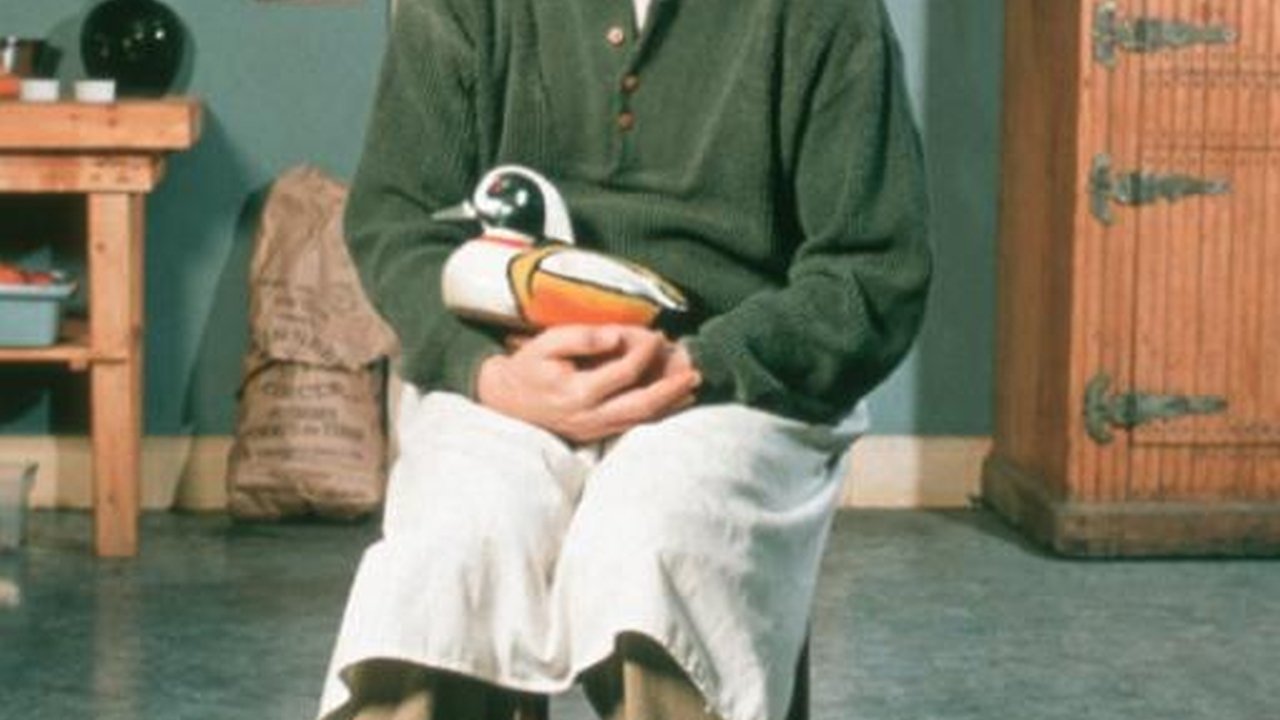 Backdrop image for movie Rare Birds